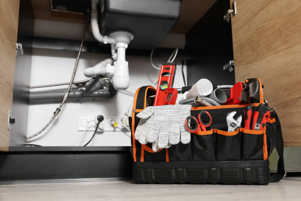 Best Plumbing Services Near Me  in Pegram, TN